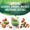 Planters Nut-Rition Essential Nutrients Mix 5.5 oz., PK8 10029000023182